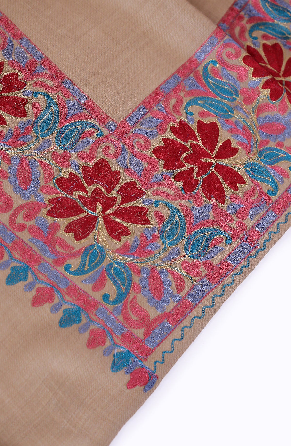 Zari Resham Border Pashmina Shawl